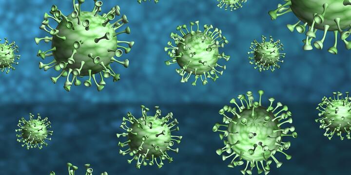 Corona virus