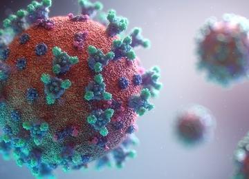 Virus particle