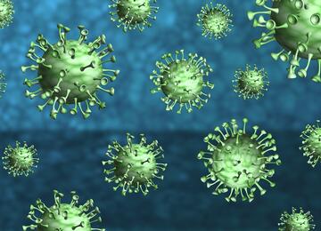 Corona virus molecules