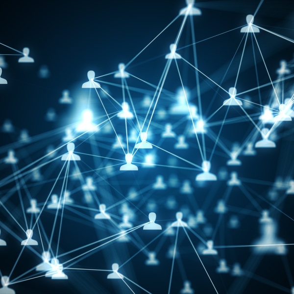 perfect network